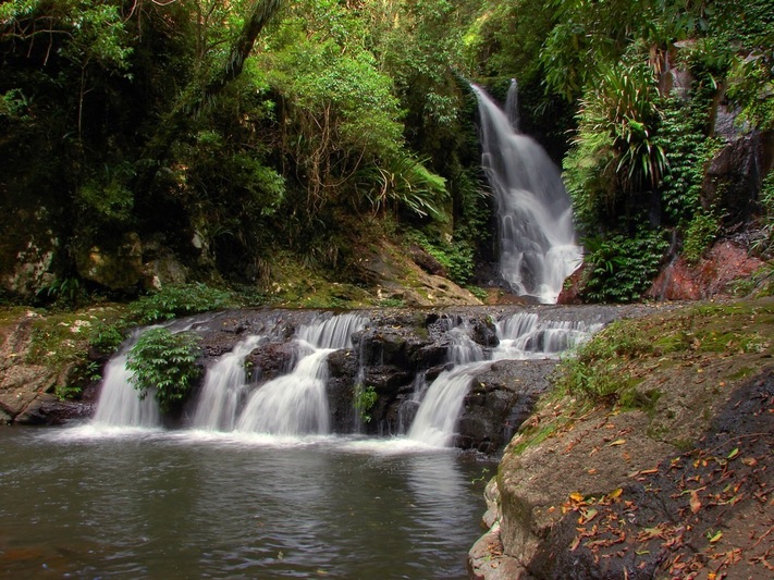 Gondwana Rainforest Way, Australia