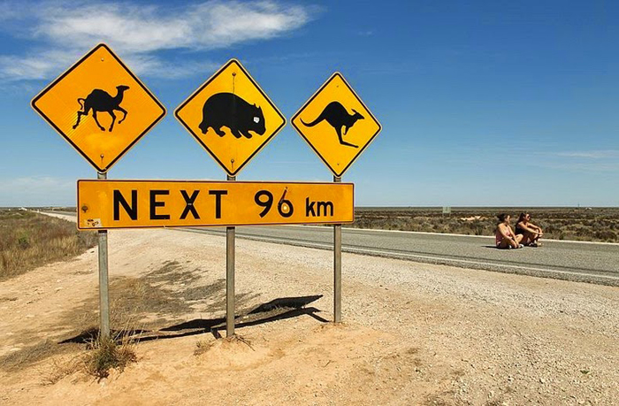 Post image for 10 Ideas for Road Tripping in Australia