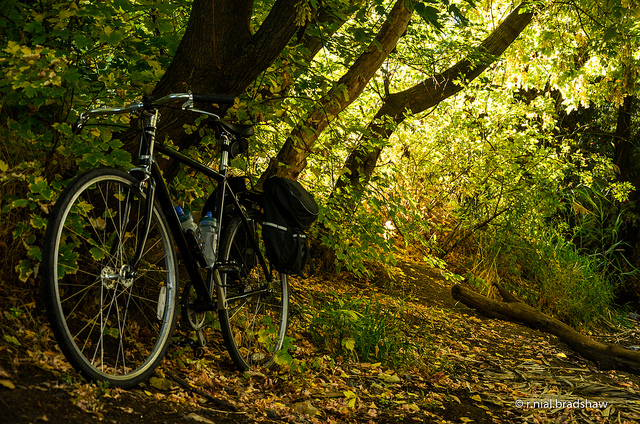 Travelling with a bike