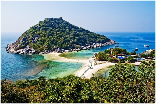 Post image for Why Choose Koh Tao for Diving?